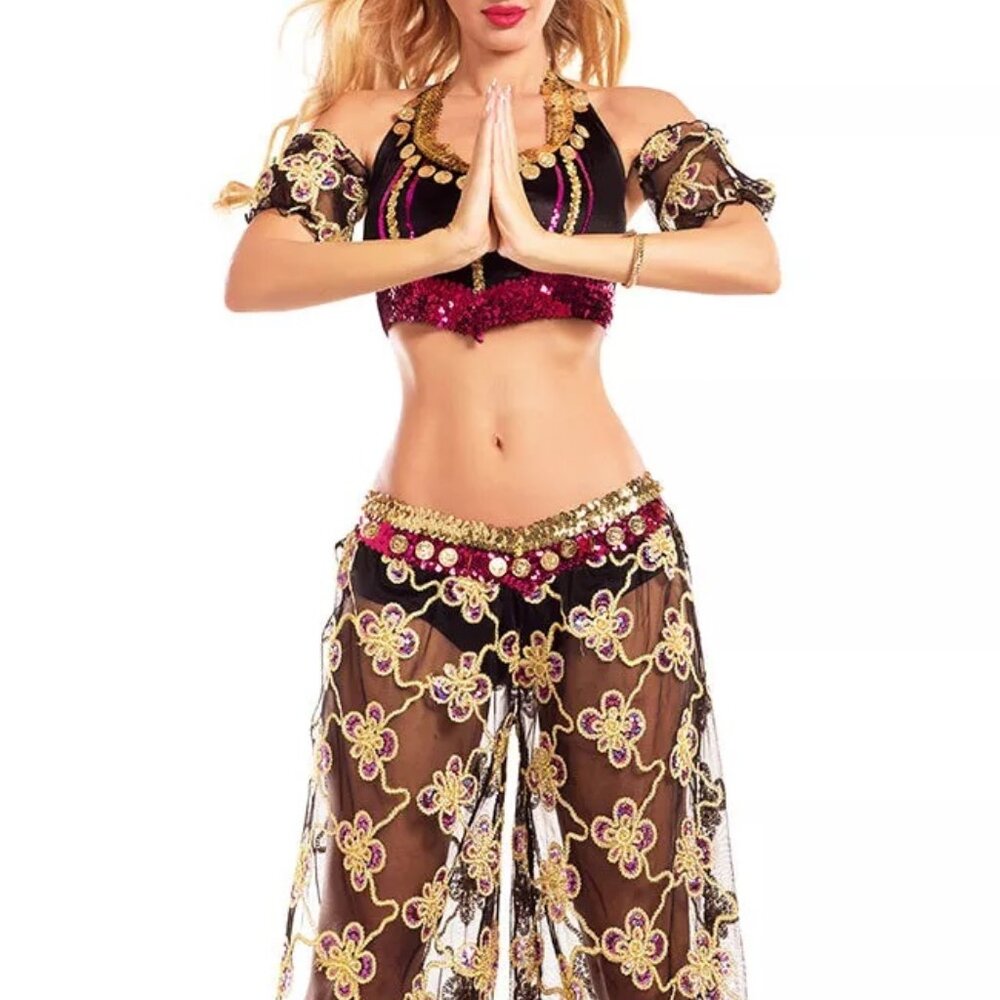 Party King Harem Honey Belly Dancer Costume PK765